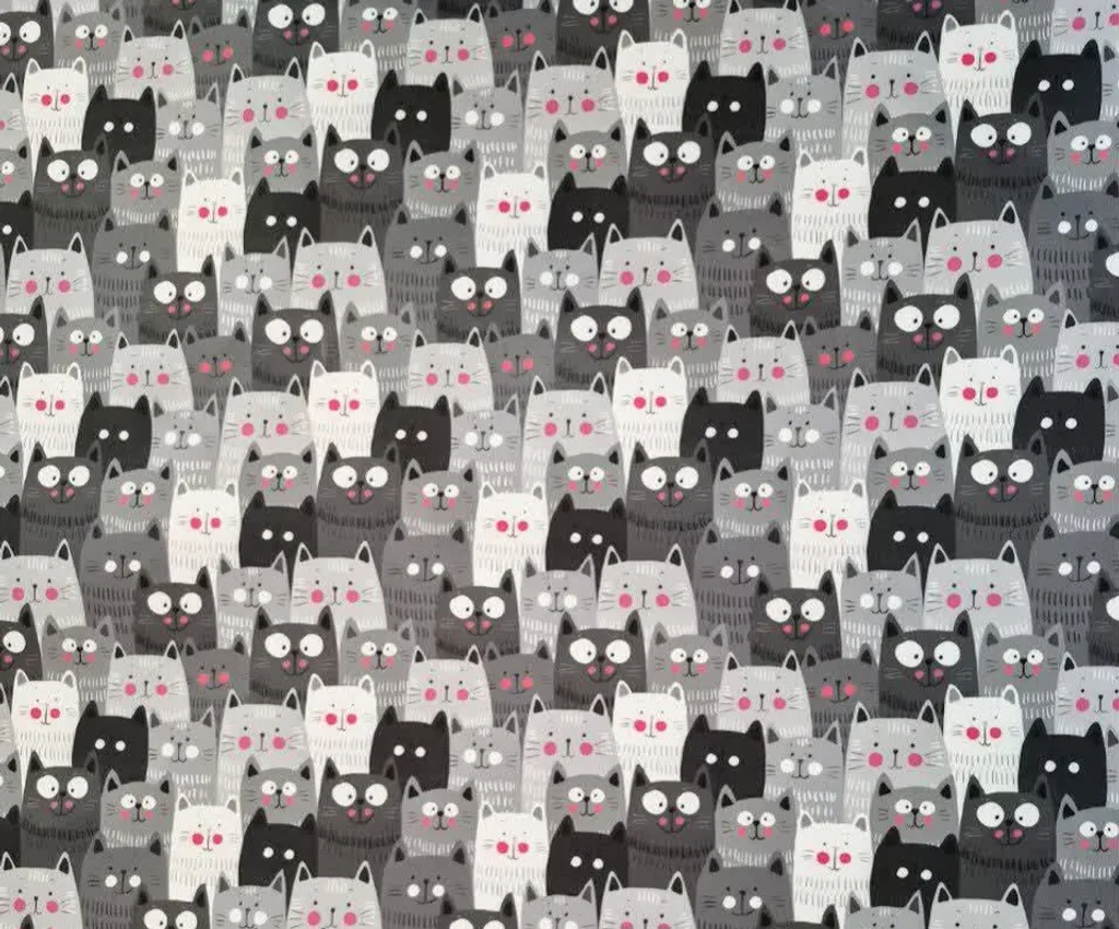 خرید گربه خاکستری 